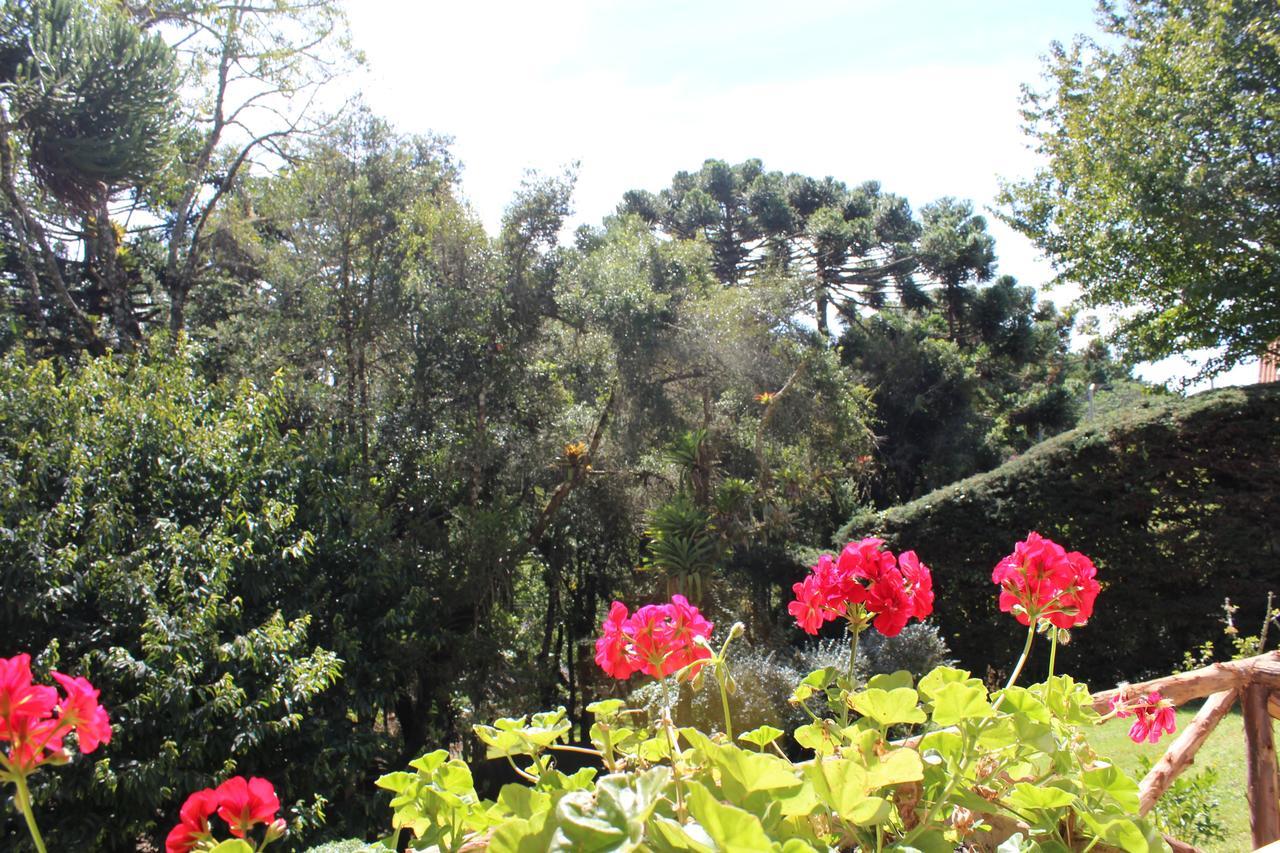 Lodge Piccolo Borgo Antico - Casina Delle Rondini *